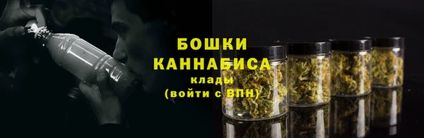 дживик Майский