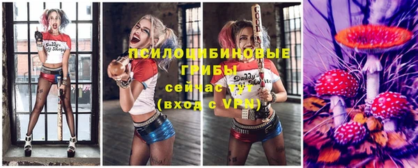 эйфоретик Магас