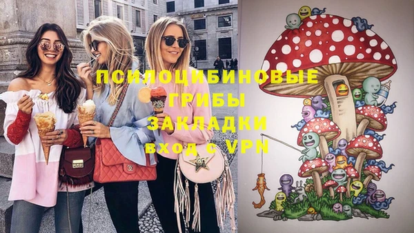 дживик Майский