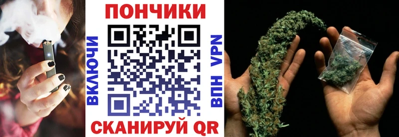 Каннабис гибрид  Купить закладки  Новая Ладога 